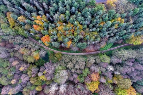 Prises de vues par drones. Ce cliché fait partie d'un triptyque. Trois prises de vue au même endroit, à différents moments de l'année. En automne, en hiver, et en été. Ici, nous avons l'automne. Il restera à faire le printemps. Des pins, des hêtres, des chênes, des frênes et autres feuillus remplissent la photo aérienne. Une route de forme courbe traverse la photographie aérienne de part en part. En fonction des saisons, ce lieu plein de charme niché au coeur du Morbihan, nous dévoile ses couleurs, qui varient au fil des saisons.