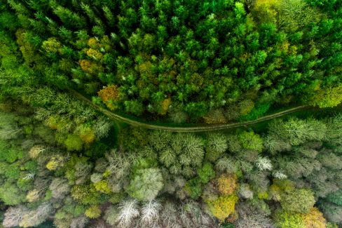Prise de vue aérienne d'une forêt bretonne en été. On y voit différents types d'arbres autant des feuillus que des pins. La photo éclate de couleurs. Une route de forme courbe traverse de gauche à droite ou de droite à gauche la photographie