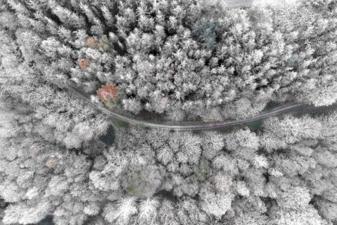Ce cliché fait partie d'un triptyque. Trois prises de vue au même endroit, à différents moments de l'année. En automne, en hiver, et en été. Ici, nous avons l'hiver. Il restera à faire le printemps. Des pins, des hêtres, des chênes, des frênes et autres feuillus remplissent la photo aérienne. Une route de forme courbe traverse la photographie aérienne de part en part. En fonction des saisons, ce lieu plein de charme niché au coeur du Morbihan, nous dévoile ses couleurs, qui varient au fil des saisons. De l'Automne avec, du jaune, du rouge, du vert, du blanc et même une couleur violacée. Nous passons au blanc immaculé.