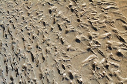 Le vent et l'action des vagues laissent un souvenir périssable sur l'entrant. Nous n'avons que quelques heures pour admirer ces arénaglyphes