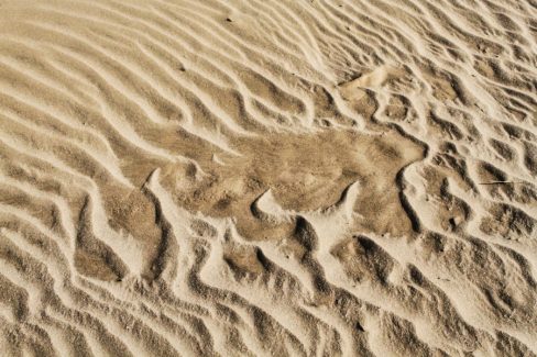 De petits grains de sable s'amoncèlent et donnent naissance à des formes suggestives.