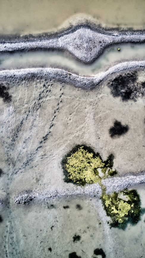 Un Oeil de sel au milieu des marais salants. Le végétation reprend ses droits.