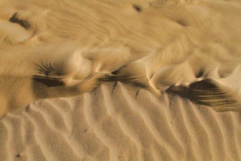 Sous l'effet du vent et des éléments, le sable se transforme et se transporte pour inventer des dunes et des arénaglyphes