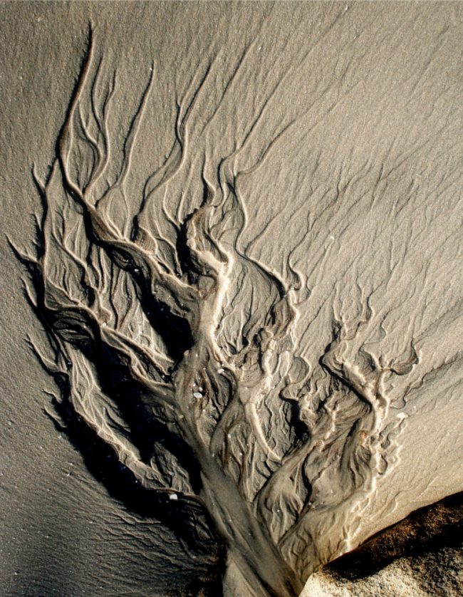 Arénaglyphes. Le sable dessine ce que j'appelle des arenaglyphes. Des formes étranges et éphémères qui parcourent l'entrant au gré des marées. Une collection qu'il a fallu compiler sur plus de 20 années. A vous de découvrir ces arénaglyphes et autres créations de la nature.