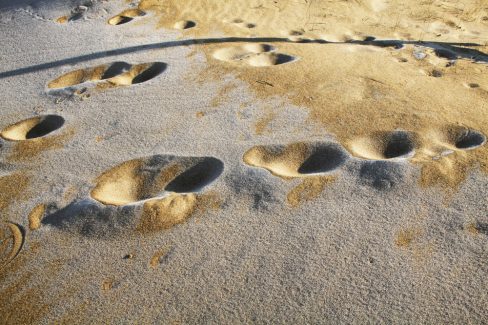 Le sable dessine ce que j'appelle des arenaglyphes. Des formes étranges et éphémères qui parcourent l'entrant au gré des marées. Une collection qu'il a fallu compiler sur plus de 20 années. A vous de découvrir ces arénaglyphes et autres créations de la nature. Ici Armstrng a marché poiur la première fois sur la lune et nous suivons ses pas.