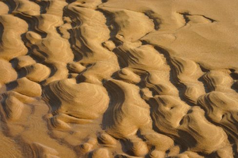 Chacun voit ce qu'il veut dans les arenaglyphes. Ici, je vois des tortues de sable qui regagnent l'océan.