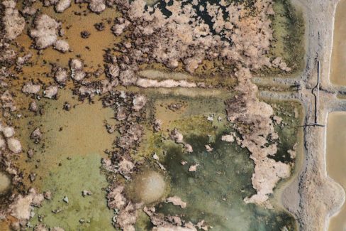 La crise a frappé les mondes des paludiers. La nature reprend ses droits dans des parcelles non entretenues.