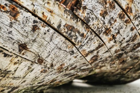 Une coque de bateau dans le port de Camaret dans le Finistère. Il y a là-bas un magnifique cimetière de bateaux de pêches. des coques de noix, des c'houc'h.