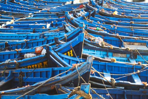 De multiples embarcations à coques bleues sont en attente dans le port d'Essaouira. Il s'agit d'une des images typiques du port. Un lieu incontournable pour quiconque aime la mer.