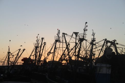 Les mâts des bateaux de pêches d'Essaouira se taisent bercer par un coucher de soleil.