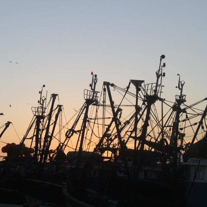Les mâts des bateaux de pêches d'Essaouira se taisent bercer par un coucher de soleil.