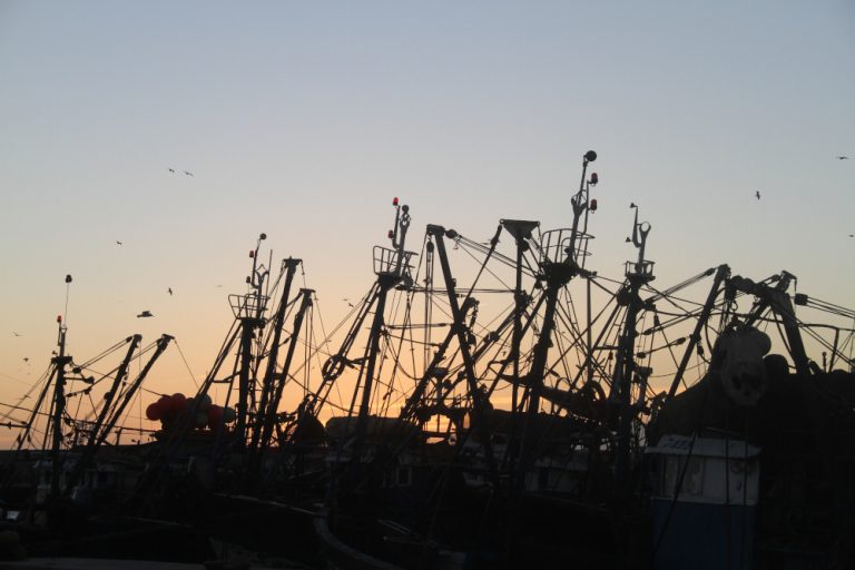 Les mâts des bateaux de pêches d'Essaouira se taisent bercer par un coucher de soleil.