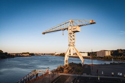 La grue grise au petit matin.