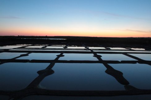 Le soleil se lève dans les marais salants de Guérande. La Magie de la lumière se prête au jeu et éclaire les carrés où le sel attend en suspension d'être récolté.