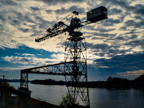 A contre-jour, la grue noire porte bien son nom.