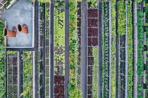 Le potager de la cantine du voyage à Nantes