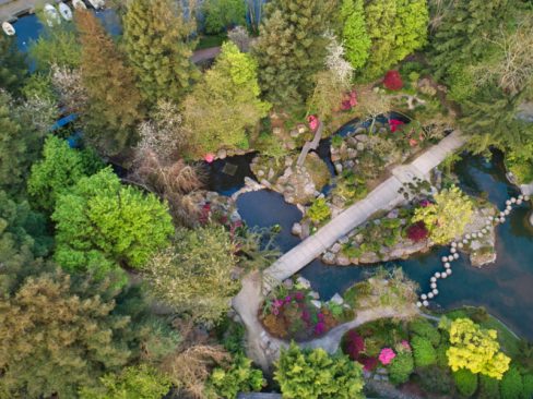 Vue aérienne de l'île Versailles à Nantes. Ce parc oriental, est orné de nombreuses espèces de végétaux, et de décors d'ambiance asiatiques. Pagodes, pas japonais sur l'eau. Le printemps a fait apparaitre les premières floraisons.