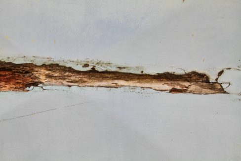 Cette photo est difficilement classable. Entre les mondes marins, l'art abstrait. Il s'agit d'une coque de bateau sur un chantier naval. La nature a dessiné un tableau sur cette coque.