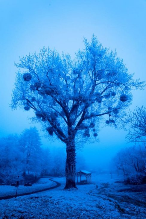 on l'attendait depuis longtemps. Il a enfin neigé à La Montagne en Loire Atlantique.