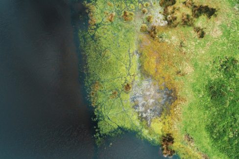 Un bien étrange monde que celui de l'estran. Un monde entre air, terre et mer. Un triskell, un triptyque. Le bleu foncé de l'eau s'associe au monde végétal d'un vert clair.