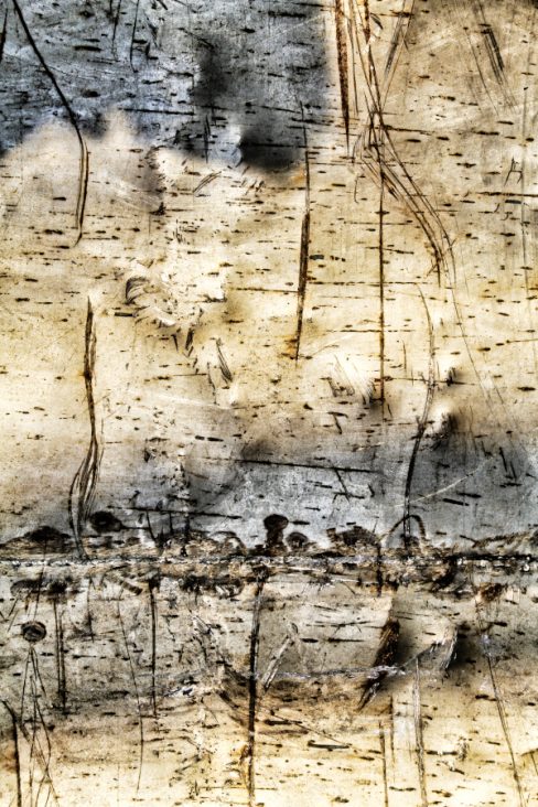 Encore une aberration photo, encore une chose devant laquelle vous êtes peut-être passée et que vous n'avez pas vu. Pas de problème, on est pour vous. La proue d'un bateau de pêche du port d'Essaouira au Maroc a beaucoup voyager. Sa proue est abîmée, et placée horizontalement offre une oeuvre artistique et abstraite.