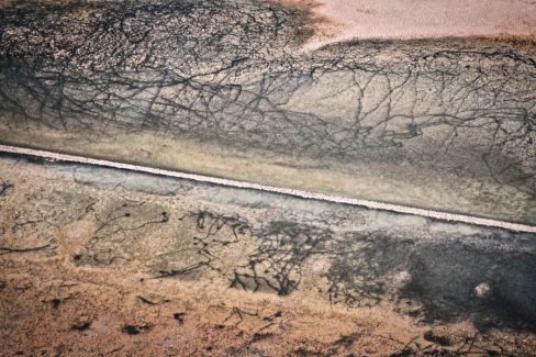 Su cette photographie prise par drone, ou en ULM, une digue sépare l'océan de la côte. De part et d'autres de cette digue de pierres blanches qui traverse la photographie horizontalement des lignes noires, des stries dessinent le sol. Ce ne sont pas des algues, ni des sillons de vases, ce sont les traces de la transhumance de moutons de prés salés dans la Manche.