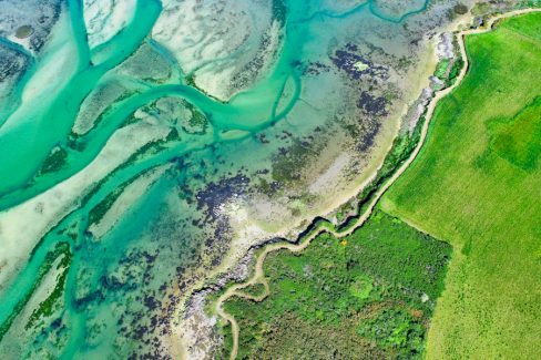 Dans l'estran, cette partie en partie immergée, en partie submergée se découvre. les tons cette fois-ci dans toute la palette des verts font honneur à la nature. Un contraste entre un pré et ses bosquets bien verts, un chemin de douanier en guise de ligne de démarcation avec ce bras de mer, aux couleurs vert émeraude.