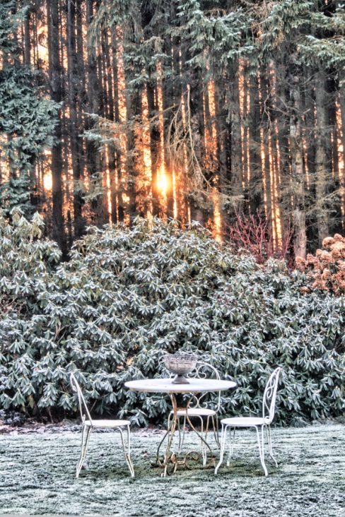 Alors qu'un soleil d'hiver se lève devant un bois de pins, une table et ses deux chaises en métal attendent les amoureux.