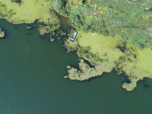 Une barque attend son propriétaire dans cette vue aérienne. La coque bleu électrique surgit au milieu des lentilles vertes fluorescentes de la Maine.