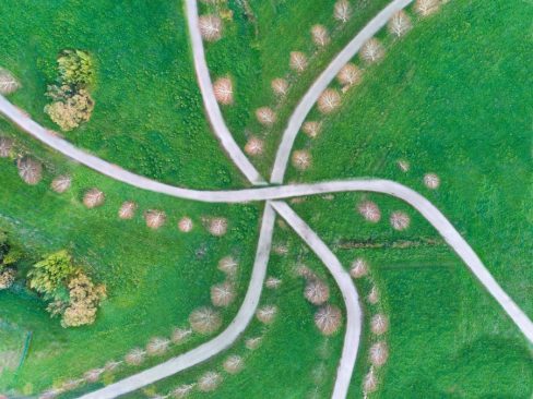 Tous les chemins forment une étoile. Des chemins bordés d'arbres dessinent dans le gazon d'un vert humide, une forme étrange