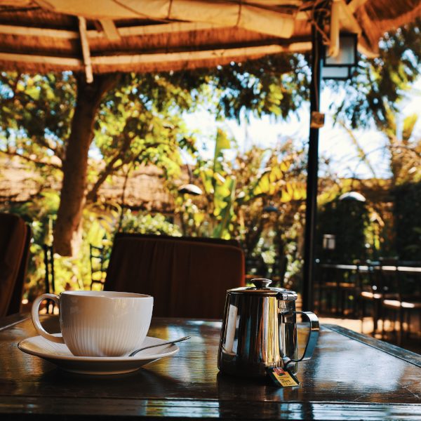 Une tasse de thé dans une soucoupe attend d'être dégustée. A l'ombre d'une tonnelle faite de bois et de feuilles de palmier, la théière se protège du soleil. Le décor est tropical.
