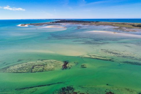 A l'entrée de la presqu'ile de Quiberon, entre Carnac et penthièvre se situe Plouharnel. Il y a certes, une vasière, mais aussi des plages de sables fins et blancs.