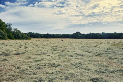Mais quelle histoire raconte cette photo ? Un homme est assis sur une chaise de camping au milieu d'un champ. Il porte des écouteurs. écoute-t-il de la musique ? Non, il est en réunion. Ce champ est vaste, et l'herbe est fraîchement coupée. Bien qu'il soit en réunion, il semble que cet homme est seul au milieu d'un festival, et attend que celui-ci démarre.