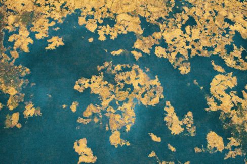 Une photo prise par drone dans un lac. Le jaune des algues d'une couleur dorée fait ressortir le bleu de l'eau. Un bleu très à la mode