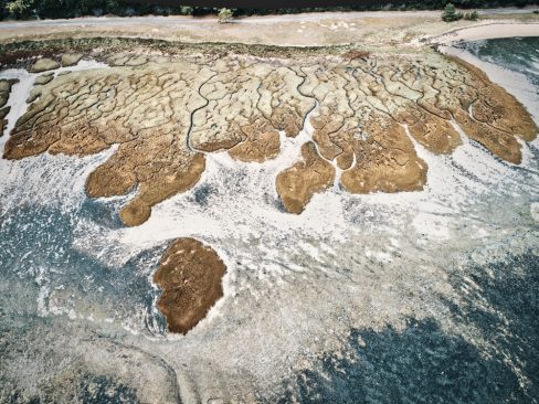 Mais où sommes-nous ? Des couleurs étranges habitent cet estran situé dans le Morbihan