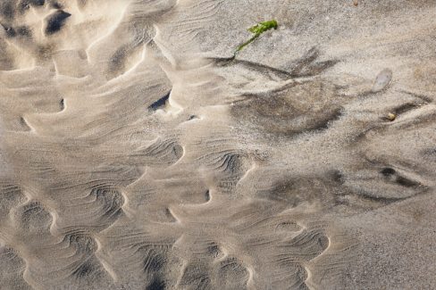 Et c'est reparti pour une série d'arénaglyphes dont nous faisons partis des experts en France