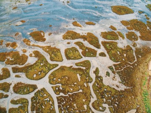 La mer se retire et la nature prend ses pinceaux