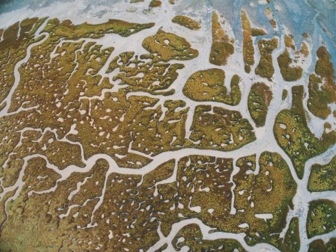 L'estran se découvre et laisse place à un décor surnaturel où le salé se mélange à l'eau douce