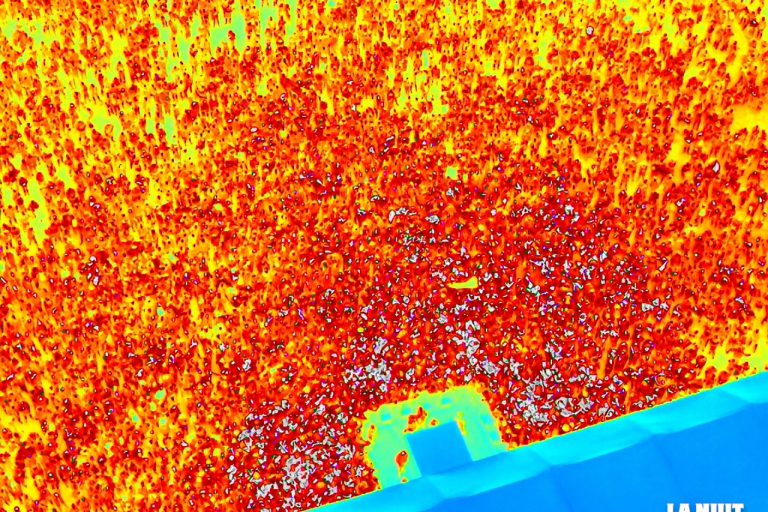Un concert filmé à la caméra thermique et du ciel en plus. Photographie prise lors de la 25ème édition de La Nuit de L'Erdre