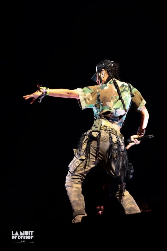 SAM de SHAPONK en plein show lors de la 23ème édition de La Nuit De l'Erdre.