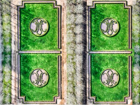 Un jardin de Lys...à la française