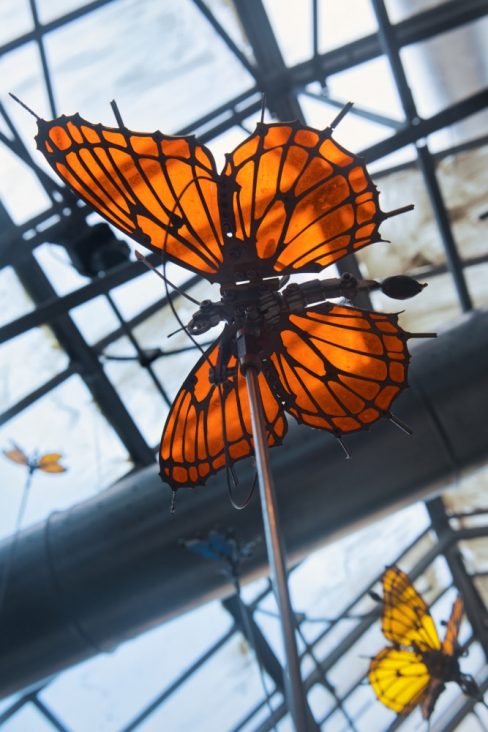 Les papillons de la galerie des machines à Nantes