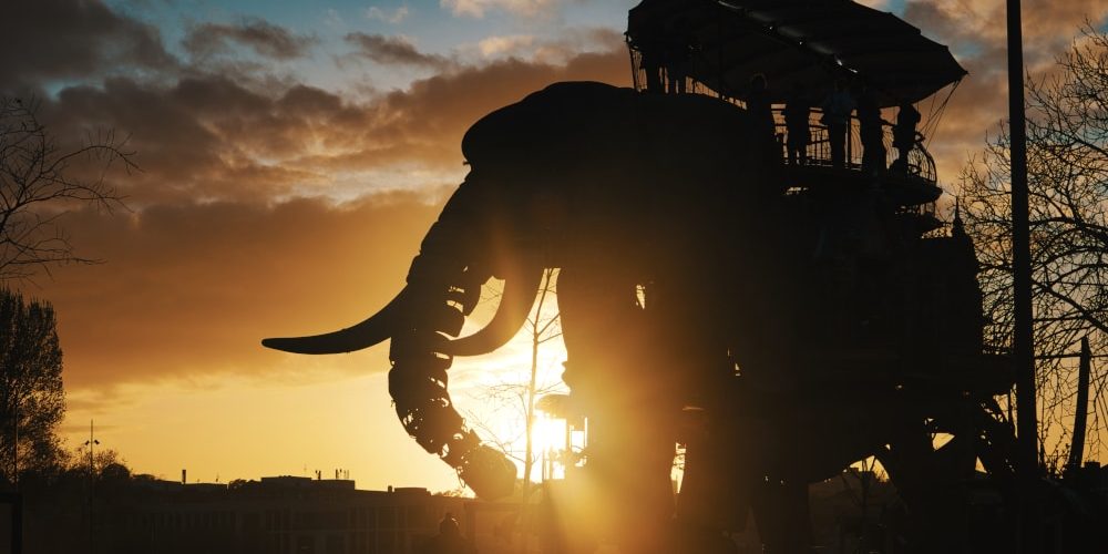 Entre ombres et lumières l'éléphant se promène tranquillement sur l'île de Nantes faisant découvrir la ville à ses visiteurs.