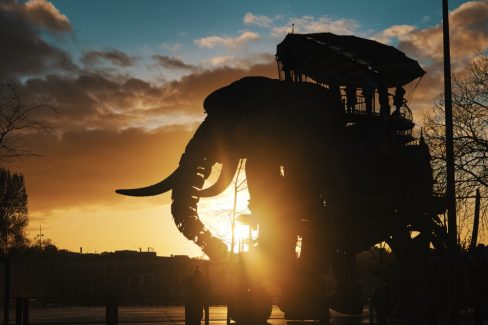 Entre ombres et lumières l'éléphant se promène tranquillement sur l'île de Nantes faisant découvrir la ville à ses visiteurs.