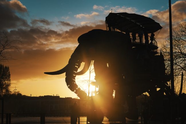 éléphant and sun Entre ombres et lumières l'éléphant se promène tranquillement sur l'île de Nantes faisant découvrir la ville à ses visiteurs.