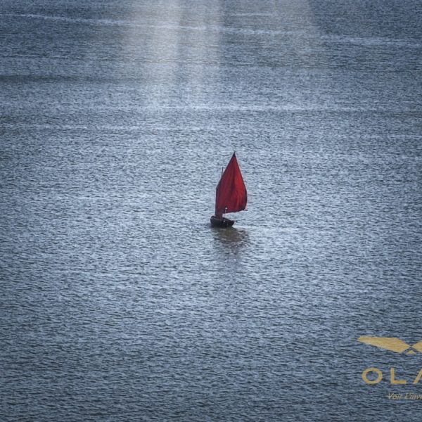Sunny Sinagot Un sinagot, le fameux bateau de séné dans le Morbihan. Il se caractérise par sa voile rouge. Un rayon de soleil vient frapper ce frêle esquif au milieu du Golfe du Morbihan.