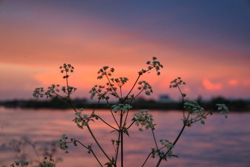 Le soleil se couche sur l'Erdre à Sainte Luce