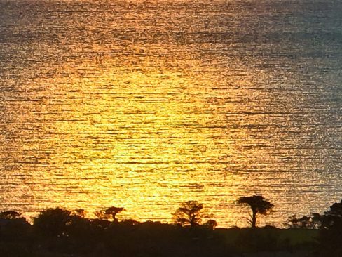 Un moment de poésie lors de ce coucher de soleil aux couleurs folles au Cap Sizun. C'est l'heure, cest la golden hour