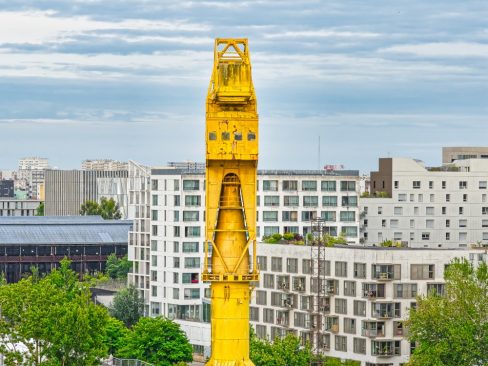 La grue jaune sous un jour nouvel angle