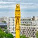 La grue jaune sous un jour nouvel angle